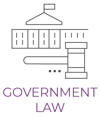 Government Law